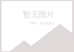 平阴县雪青化学有限公司